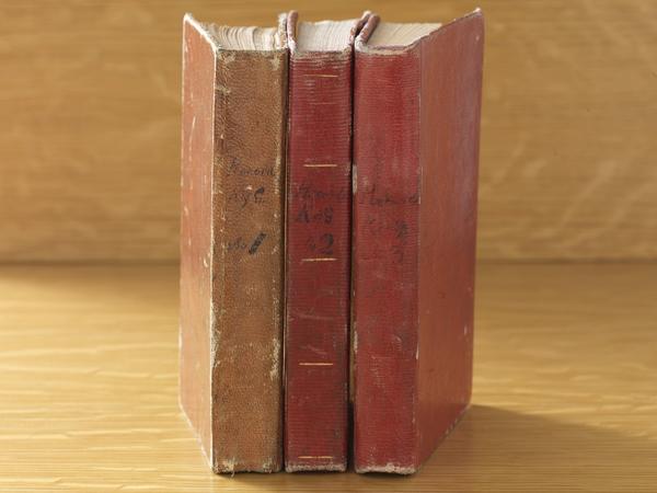 Three volumes of Council of Fifty minutes